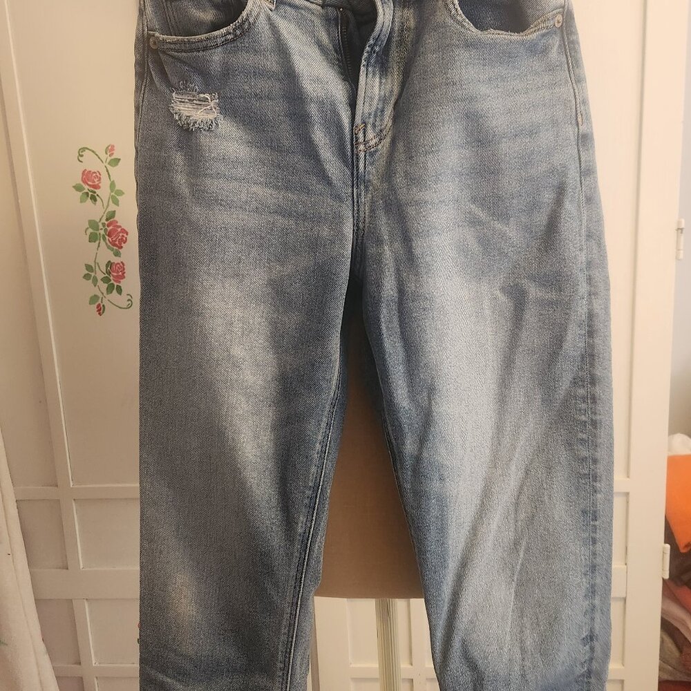 these are American Eagle light-washed denim jeans